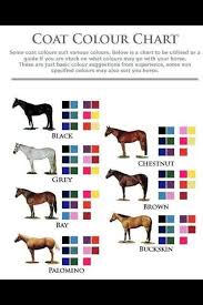Tack Horse Colouring Chart Matching Colours Perfect For