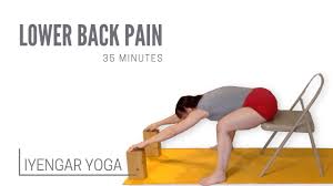 iyengar yoga for lower back pain