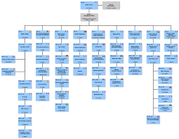 Wp120 Organisational Chart Plato Stesci