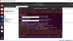 install python 2 and pip on ubuntu 20