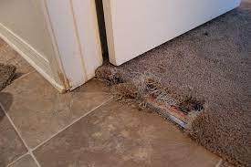 pet damage carpet repair louisville