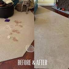 reliable carpet cleaning 23 photos