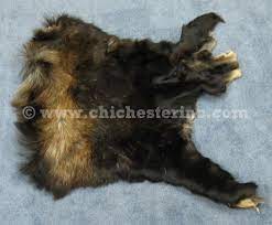 moose fur or pelts or hides or skins