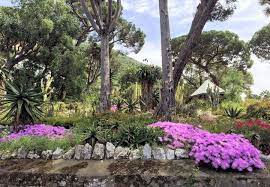 the alameda gibraltar botanic gardens