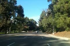 Elysian Park Trail de Los Angeles | Horario, Mapa y entradas 4