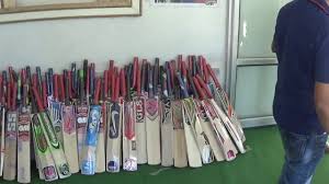 cricket bats made from willow tree