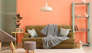 Peach Colour Décor Ideas For Your Home