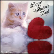 Top 20 kitten and cat hugs. Valentines Day Glitter Graphics Comments Gifs Memes And Greetings For Facebook Or Twitter
