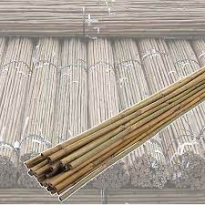 bamboo canes strong heavy duty