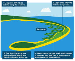 BBC Two   Primary Geography  Weather  Place and People  Tropical     Manners Unleashed You can even access geography software online that will reinforce the  material you cover in class 