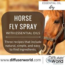 homemade essential oil horse fly spray
