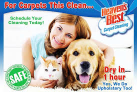 for pets carpet cleaning valdosta