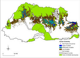suitability map of red panda habitat in