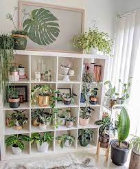 8 Easy Diy Plant Wall Ideas For Your