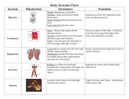 Body Systems Chart