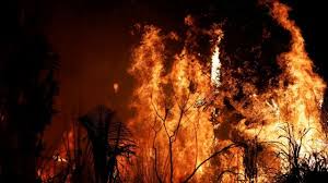 Los mismos de atención tsunami. Incendios En El Amazonas 7 Paises De Sudamerica Se Comprometen A Proteger A La Amazonia En El Pacto De Leticia Bbc News Mundo