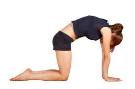 To facilitate the birth of a child such good yoga poses like warrior ii, triangle, pigeon, baddha of all the asanas on the side stretching comfort in an enlarged abdomen in the later stages of pregnancy. Prenatal Yoga Cat Cow Stretches Babymed Com