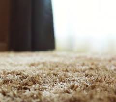 how to get rid of fleas in your carpet