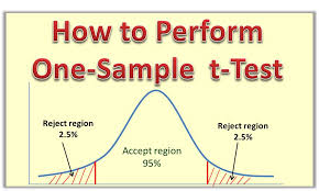 How to Perform One-Sample t-Test Step by Step - The Genius Blog