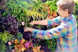 luscious shade vertical garden plants