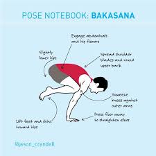 Bakasana activewear designed to inspire! Bakasana Yoga Pose Crow Pose Crane Pose Jason Crandell Yoga Method