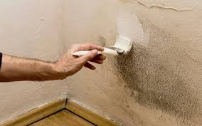 Can I Paint Over Mold What Should You