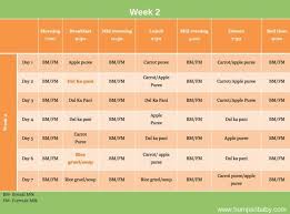 5 to 6 month baby food chart top