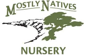 Our Plants | Mostly Natives Nursery