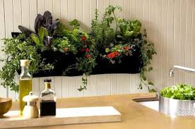 20 Indoor Kitchen Garden Ideas Herb