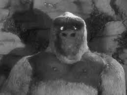 son of kong gifs get the best gif on