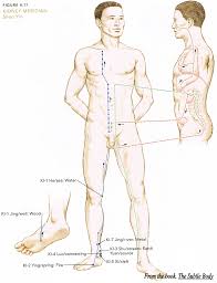 Kidney Meridian Reflexology Massage Acupuncture