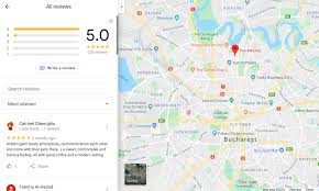 Top 10 Customer Friendly Countries Based On Google Maps