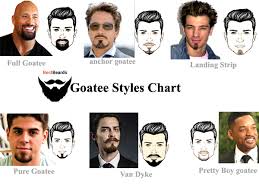 Beard Styles 15 Most Popular Goatee Styles With Pictures