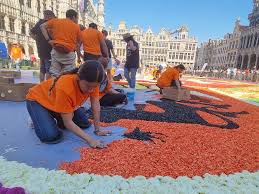 brussels flower carpet 50th