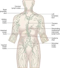 lymphadenopathy anesthesia key