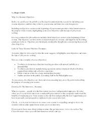 Objective Section Of Resume Bitacorita
