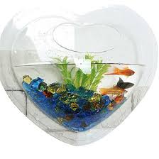 Heart Shape Wall Hanging Fish Bowl Wall