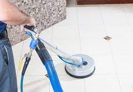 tile grout steam cleaner livonia mi
