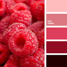 Color Of Raspberry Color Palette Ideas