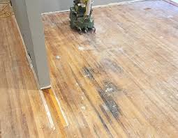 What If My Hardwood Floor Has Pet Stains