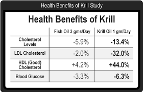 Krill Oil Vs Fish Oil Which Omega Supplement Is Best