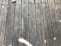 remove black mold on your wood deck