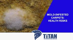 mold infested carpets health risks