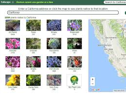 Gardening California Native Plant Society