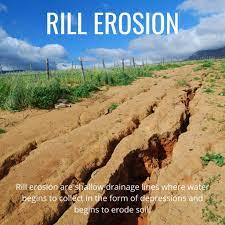 6 types of soil erosion go seed