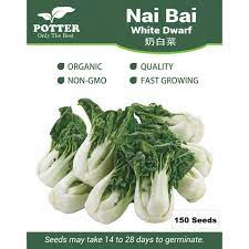 nai bai vegetable seeds local veggies