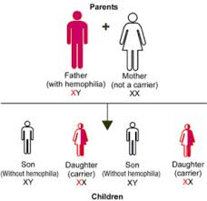 Hemophilia Genetic Inheritance