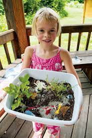 How To Plant A Fairy Garden Down East