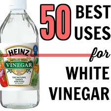 100 best uses for white vinegar