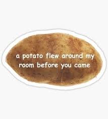 But not every attempt to mimic the greatness of the flying potato has been successful. A Potato Flew Around My Room Before You Came Vine Quote Meme Stickers Hydroflask Stickers